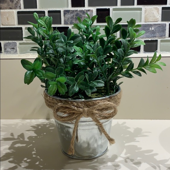 Target Other - Miniature Tin Can Greenery with Burlap Bow